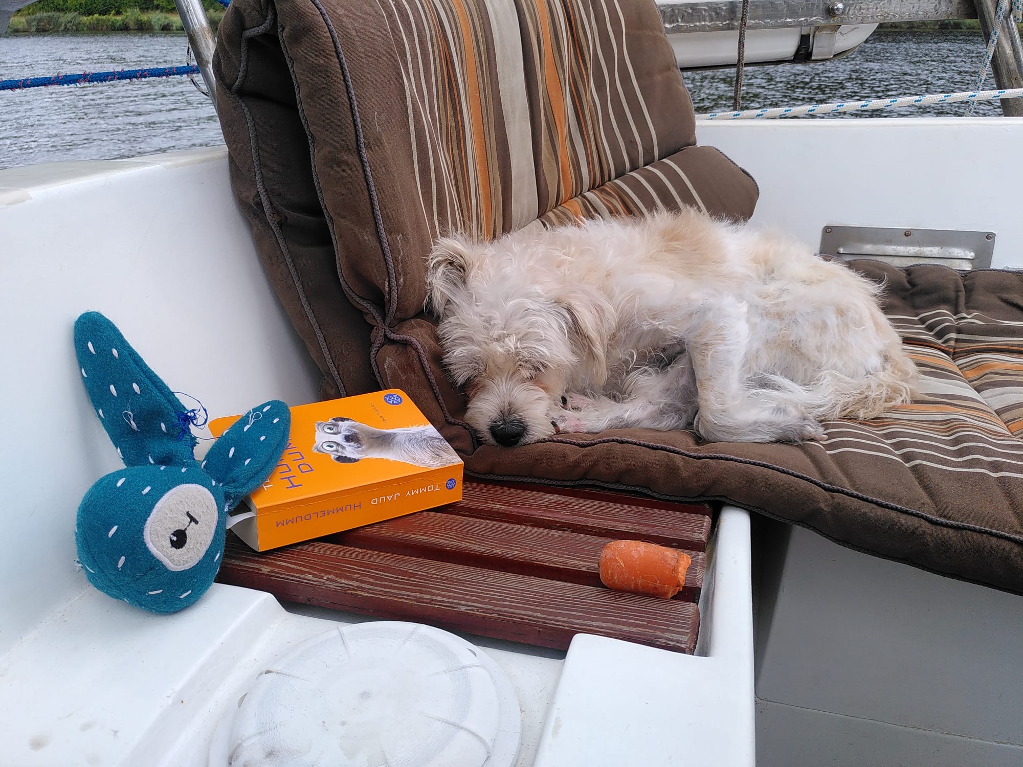 Emma schlafend im Cockpit mit Buch und Spielzeug